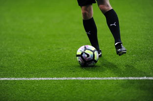 LeyuSports-英超赛季中期疲劳恢复方案效果的多中心研究,英超休赛期几个月