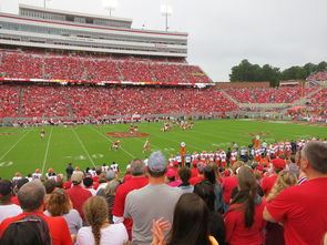 乐鱼app-国家队是否推动技战术内容下沉至基层教练，国家队战术后仰